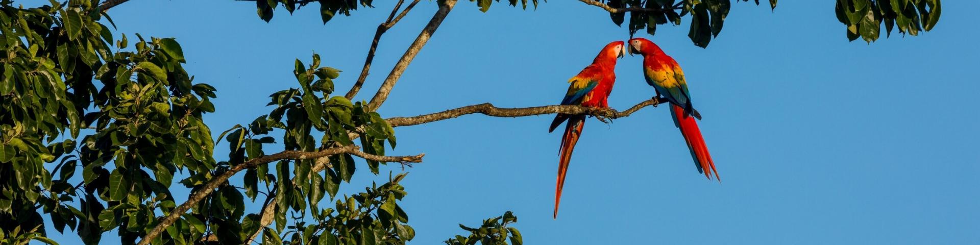 Photo by Zdenek Machacek on Unsplash 